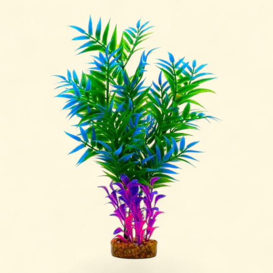 Aqua Culture Maidenhair Fern, Aquarium Plant, 15.50 in