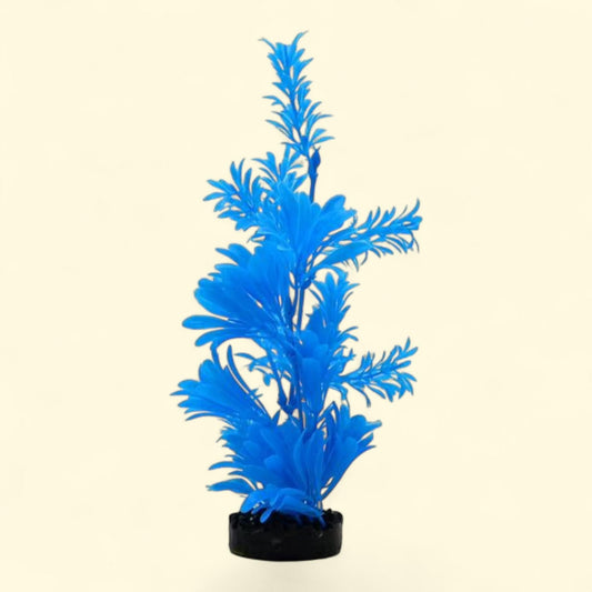 Aqua Culture Water Bouquet Aquarium Plant, 11.50 in